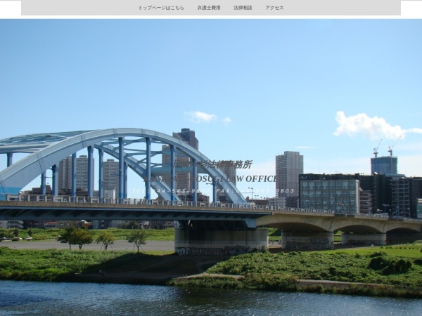 Screenshot of kawasakikosugilaw.s2.bindsite.jp