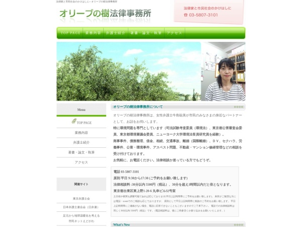 Screenshot of olivetreelawoffice.com