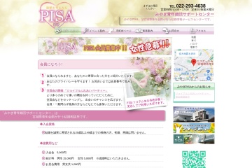 Screenshot of seinenkaikan.or.jp