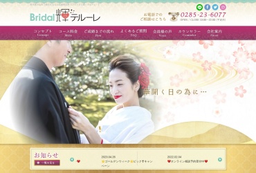 Screenshot of www.bridal-kagayaki-terure.com