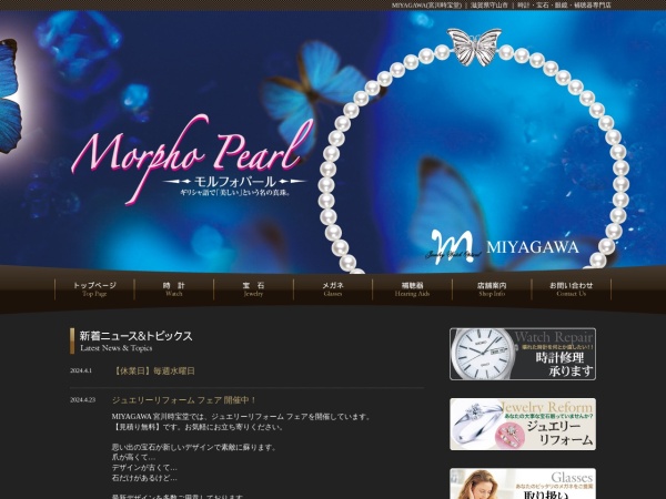 Screenshot of www.j-miyagawa.com