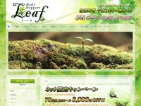 Screenshot of www.leaf.ooe.jp