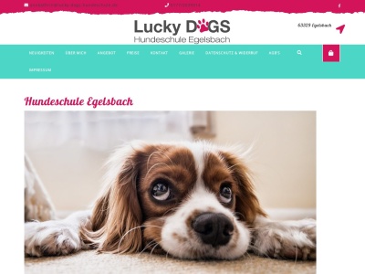 lucky-dogs-hundeschule.de