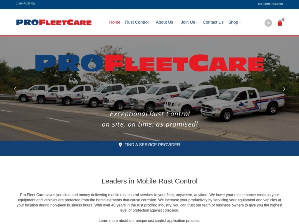 Screenshot of www.profleetcare.com