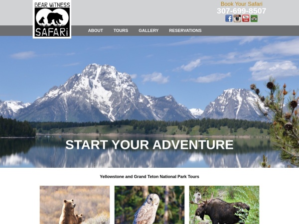 bearwitnessjacksonhole.com website ekran görüntüsü Grand Teton & Yellowstone National Park Tours - Jackson Hole WY