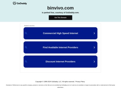 binvivo.com SEO отчет