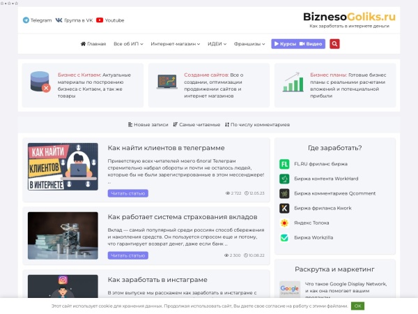 biznesogoliks.ru website captura de tela Бизнес идеи в Интернете