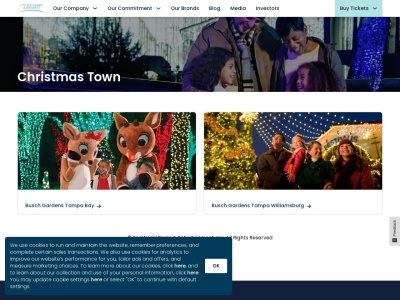 christmastown.com Rapport SEO