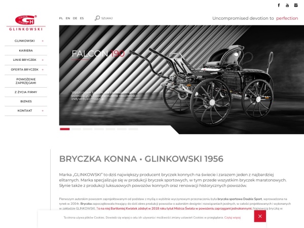 glinkowski.pl website immagine dello schermo Bryczki - Powozy konne - Sportowe - Klasyczne – Producent - GLINKOWSKI - POWOZY KONNE