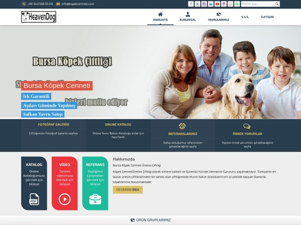 heavendog.net website screenshot 