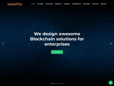 intelitix.com SEO-raportti