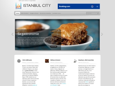 istanbul-city.fr SEO отчет