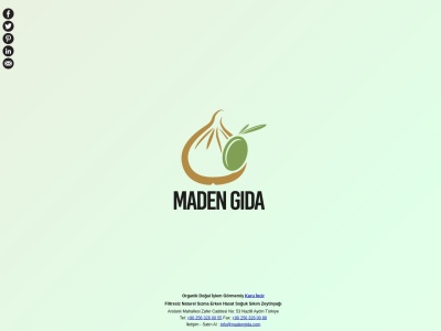 madengida.com Rapport SEO