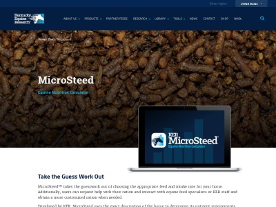 microsteed.com SEO отчет