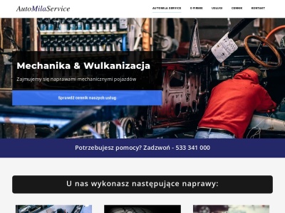 milaservice.pl SEO Report