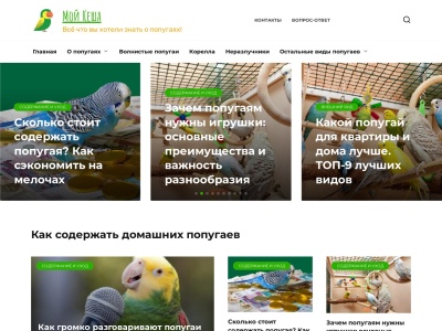 moikesha.ru Rapport SEO
