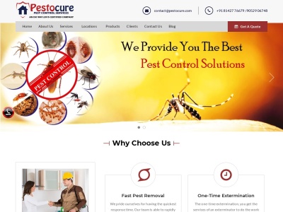 pestocure.com SEO Report