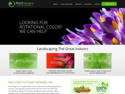 plantdesigns.com SEO Raporu