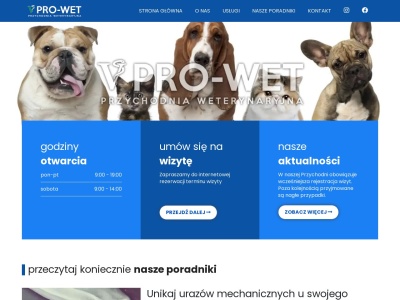 pro-wet.pl Rapporto SEO