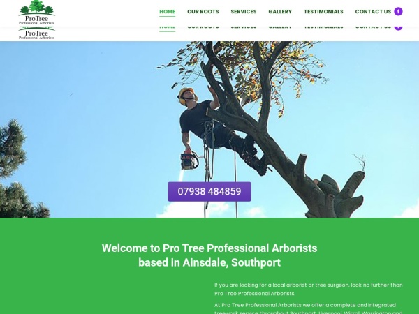 protreepa.co.uk website kuvakaappaus PRO TREE PROFESSIONAL ARBORISTS, AINSDALE, SOUTHPORT: HOME - TREE SURGEON SOUTHPORT, TREE SURGEON LI
