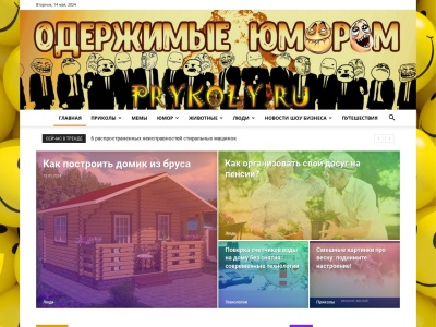 prykoly.ru SEO Raporu