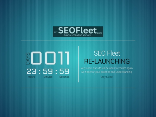 seofleet.com website screenshot SEO Fleet - Digital Marketing Agency