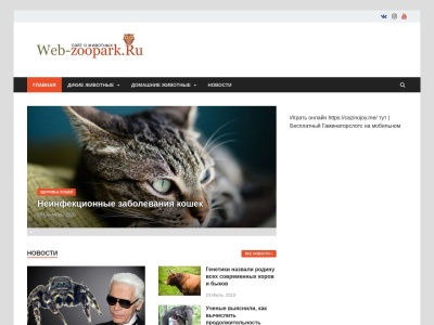 web-zoopark.ru SEO-rapport