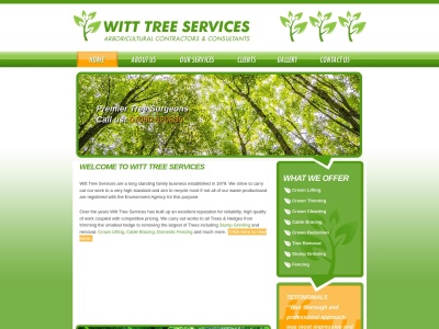 witt-tree.com Rapport SEO