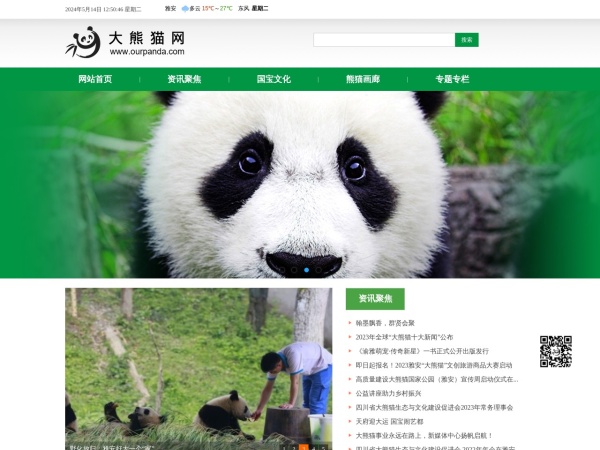 中国熊猫网