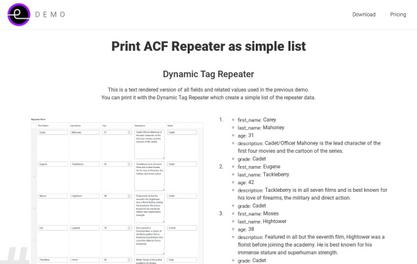 https://demo.e-addons.com/demo/print-acf-repeater-as-simple-list/?demopreview=1&demoscreen=7