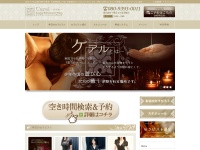 Screenshot of www.carel-tokyo.com
