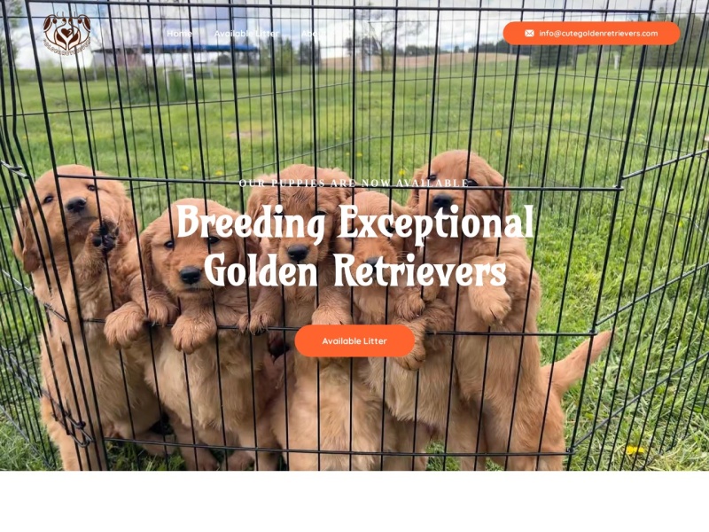 Cutegoldenretrievers.com - Golden Retriever Puppy Scam Review