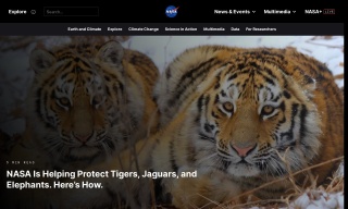NASA Is Helping Protect Tigers Jaguars and Elephants. Here’s How.